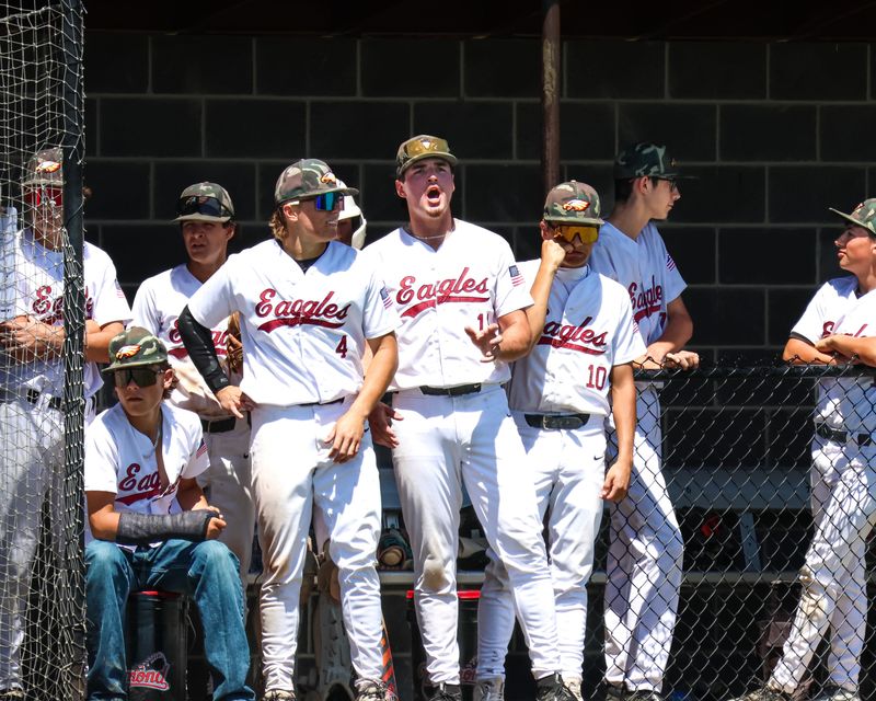 The West Valley dugout cheers on their teammate at the plate during the Northern Section championship game. The Eagles defeated Orland 10-2 to win their second consecutive section title. May 23, 2026.