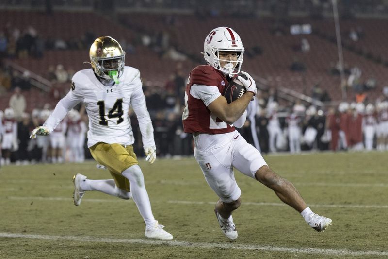 Nov 29, 2025; Stanford, California, USA; Stanford Cardinal wide receiver Marcus Brown (25) scores a touchdown during the fourth quarter against Notre Dame Fighting Irish cornerback Dallas Golden (14) at Stanford Stadium. Mandatory Credit: Stan Szeto-Imagn Images