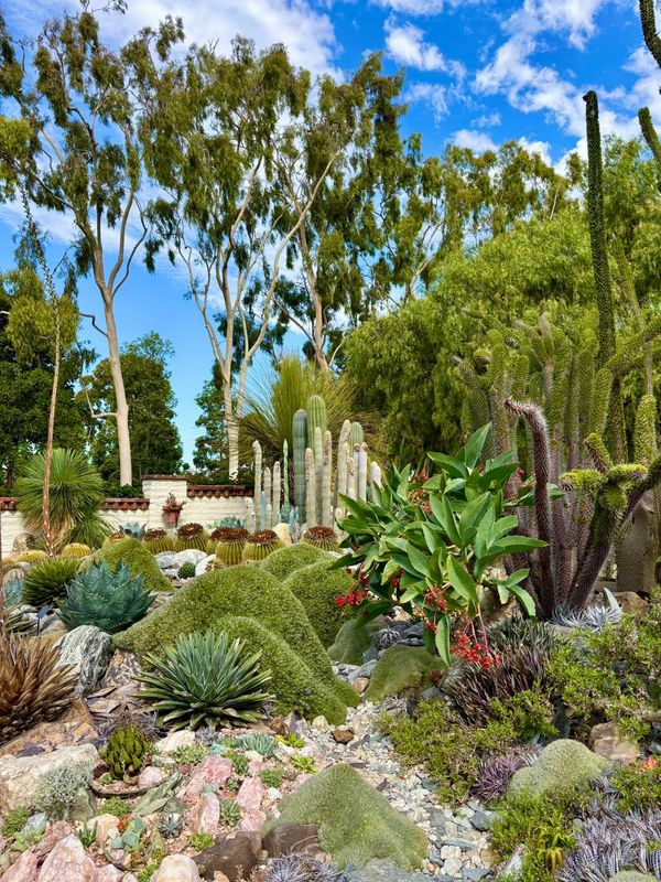 Sherman Library and Gardens