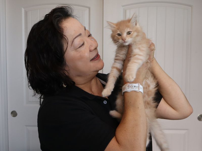 Walan Chang and Sweetie, a foster kitten rescued with its sibling Reba in Salinas on May 26, 2026, in East Garrison, Calif.