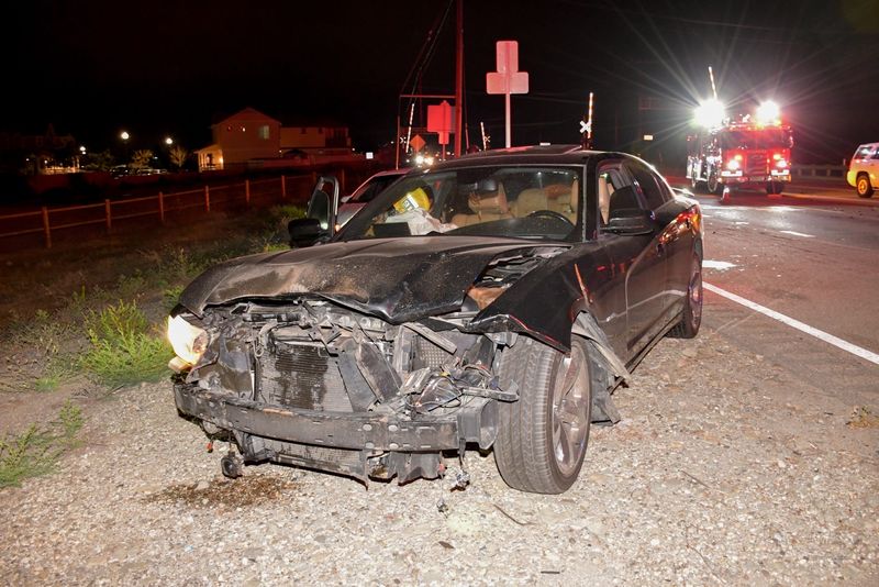 A black bear died after a crash with a Dodge Charger on Highway 126 in Fillmore the evening of June 5, 2026.