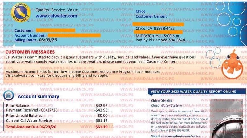 Image of purported bill to a Chico CalWater customer that an Iranian-linked group claims to have hacked. The original image did not have identifying information blocked.