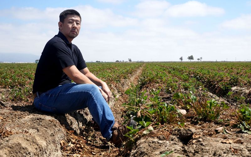 David Harada filed a lawsuit against Driscoll's, alleging that the berry company forced him to resign after he expressed concerns with safety regulation compliance that includes overuse of pesticides.
