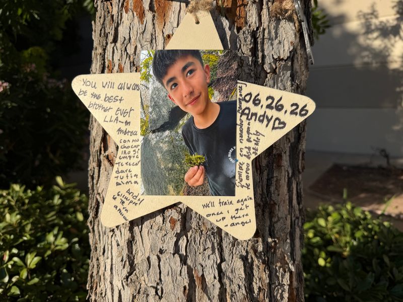 The image of an 18-year-old man killed on June 26, 2026 in front of a Tracy Target hangs on a tree near the store. The young man was allegedly fatally stabbed.