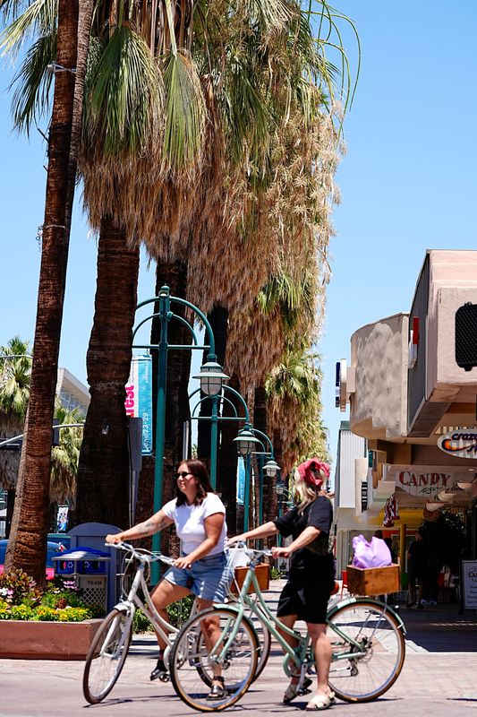 Native California fan palm trees and their natural frond "skirts" can be seen in downtown Palm Springs on July 6. The city is considering a tree-trimming plan that's proven controversial.