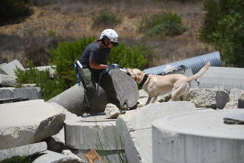 Julia Kopan, a canine training coordinator at the at the National Disaster Search Dog Foundation, rewards Marlin, a search dog in training, for finding the scent of person hidden under a simulated pile of rubble at the nonprofit's training center in Santa Paula on July 15.