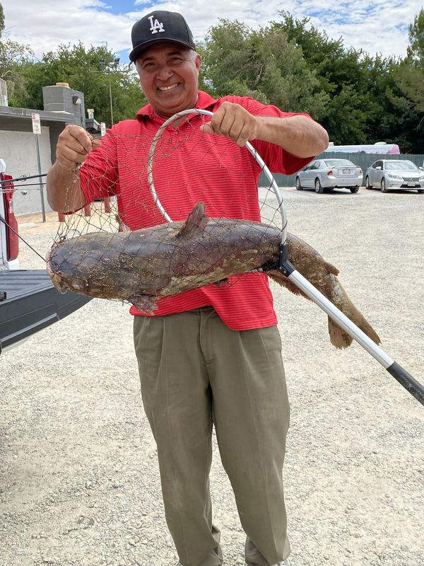 A fisherman snagged a massive 30-pound catfish, which “broke the scale” while being weighed at Hesperia Lake Park.