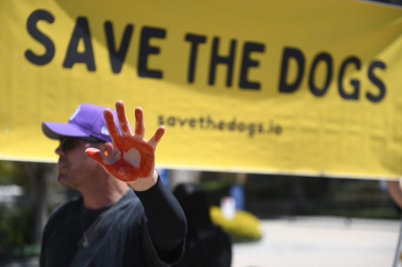 Pete Raimann with the True Cost Project, an animal rights group, raises a hand stained with fake blood at a protest outside biopharmaceutical company Amgen's Thousand Oaks headquarters on Aug. 3.