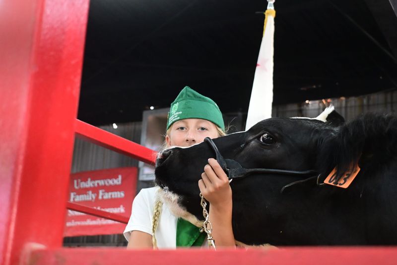 Kahrlee Long of Bardsdale 4H in the Fillmore area auctions off her steer at the Ventura County Fair on Aug. 7.