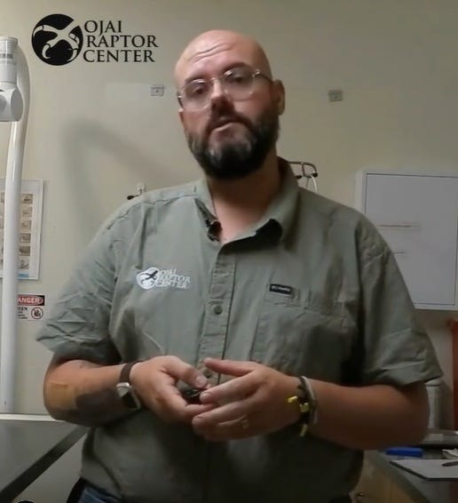 The health of Jackie, the bald eagle from Big Bear Lake, has taken another turn for the worse, according to Ojai Raptor Center Executive Director Chris Eksteen on Friday, Aug. 7, 2026.