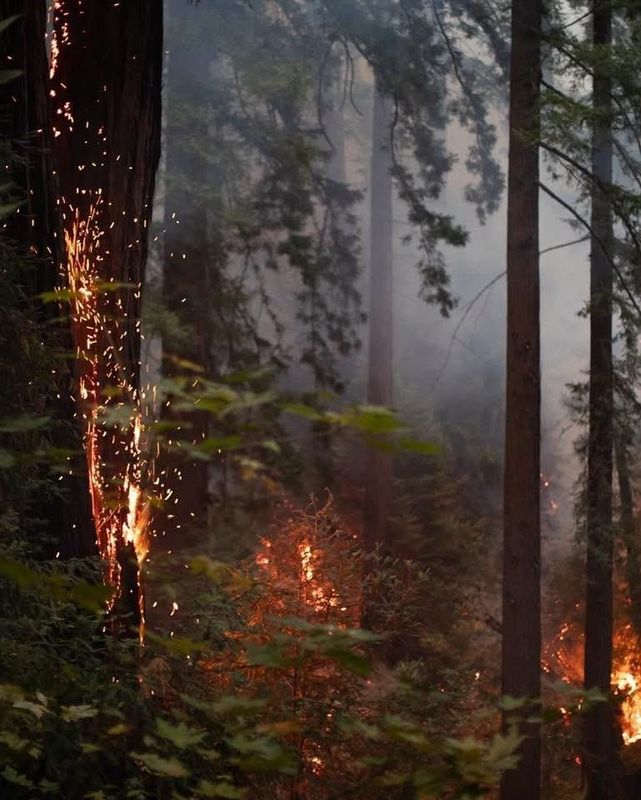 Firefighters make progress against Timber Fire on Aug. 18, 2026, in Big Sur, Calif.