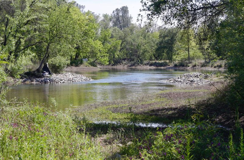 The Nur Pon Open Space sits along the Sacramento River off Cypress Avenue in Redding.