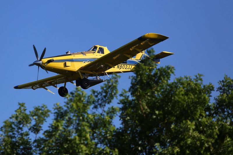 Flying as low as 300 feet, a single-engine agriculture aircraft, contracted by the Indian River Mosquito Control District, dumps a larvicide payload over Indian River Land Trust's nature preserve Bee Gum Point, July 11, 2022, in Indian River Shores. The 111-acre nature preserve, located on the northern end of the barrier island, is an important home for migratory birds, waterfowl and young fish. The yellow model 802 plane, owned by Thomas R. Summersill, Inc., plays an important role in public health and keeping the mosquito populations down by concentrating on the salt marsh mosquitoes that lay their eggs around the Indian River Lagoon.