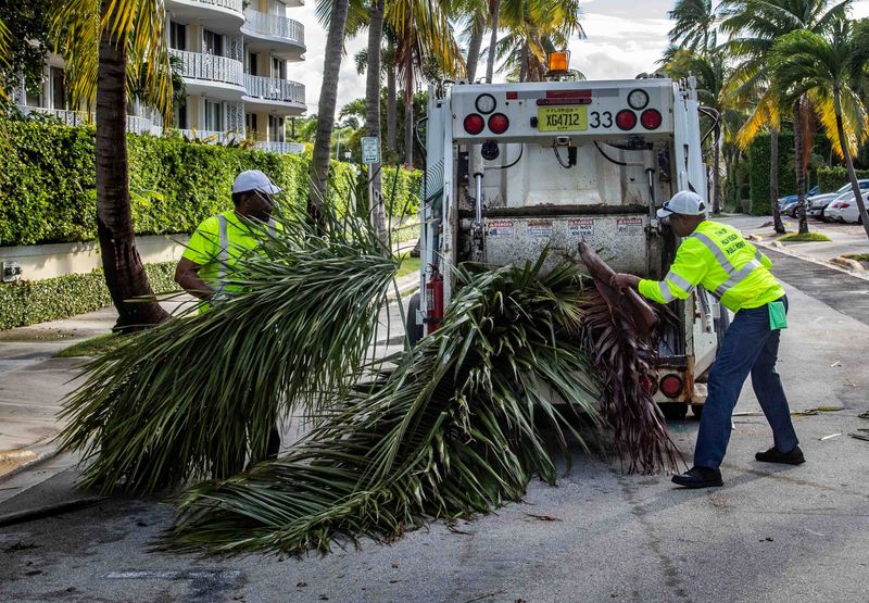 Workers remove branches of palm trees from Australian Avenue the night after hurricane Nicole passed through South Florida Nov. 10, 2022.