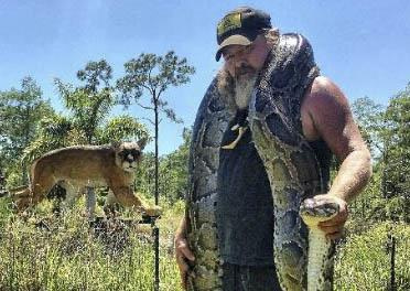 Dusty "Wildman" Crum caught this 16-foot-10-inch Burmese python in the South Florida Water Management District's python hunt. The snake had 73 eggs.