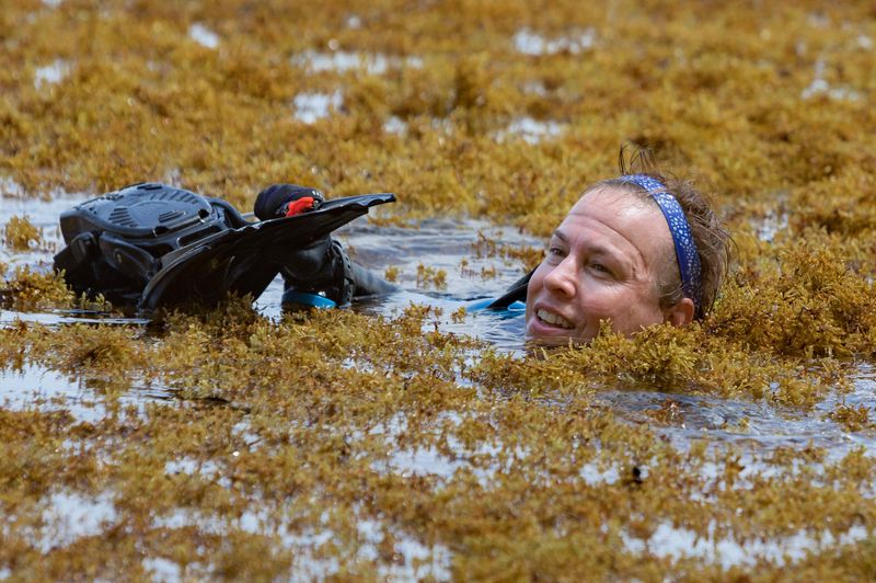 Tourist Nathalie Latimer, of Atlanta, Georgia, struggles to get through the seaweed after scuba diving next to the Blue Heron Bridge. Tides pushed it into the Intracoastal Waterway, July 5, 2018 in Riviera Beach, Florida. The lifeguard on duty said its the most seaweed he has seen there. He cautioned that people with sensitive skin may find it irritating to their skin.