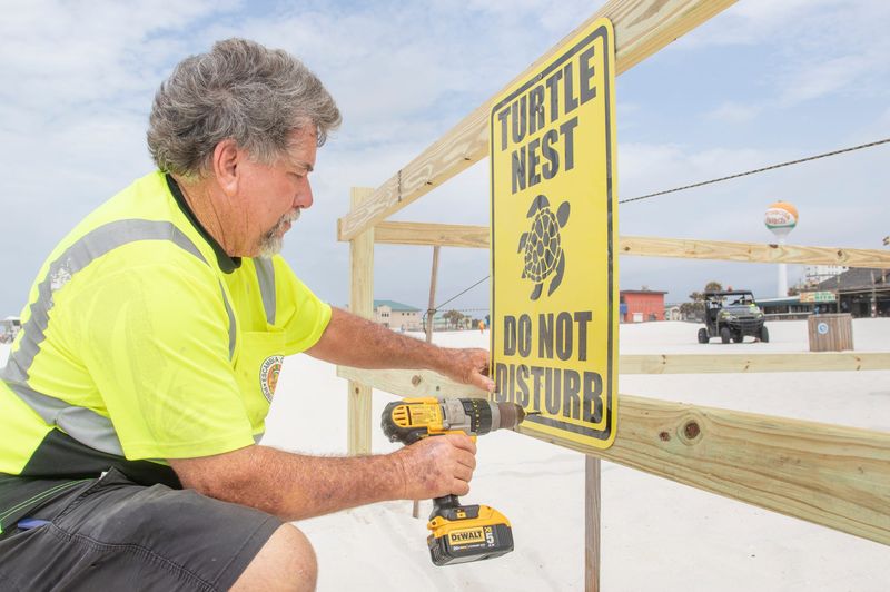Escambia County Public Works employee Paul Harvey hangs a sign on the fenced-off area around a new Kemp's ridley sea turtle nest along Pensacola Beach on Tuesday, June 2, 2020.