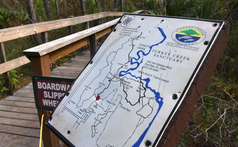 Turkey Creek Sanctuary is located off of Port Malabar Blvd. NE, in Palm Bay, Fl. This 130-acre nature preserve includes boardwalk nature trails, jogging paths, and access by canoe and kayak. It is open 7 days a week from dawn until dusk.