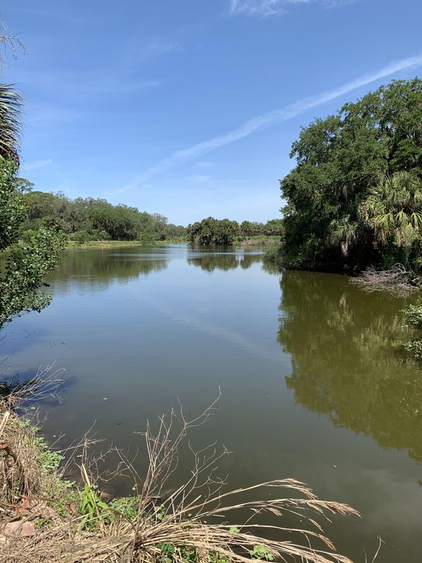The Red Bug Slough Preserve on Beneva Road is among the parcels of land purchased by Sarasota County through its Environmentally Sensitive Land Protection Program. The program was created 25 years ago to protect sensitive natural habitats and land areas in Sarasota County.