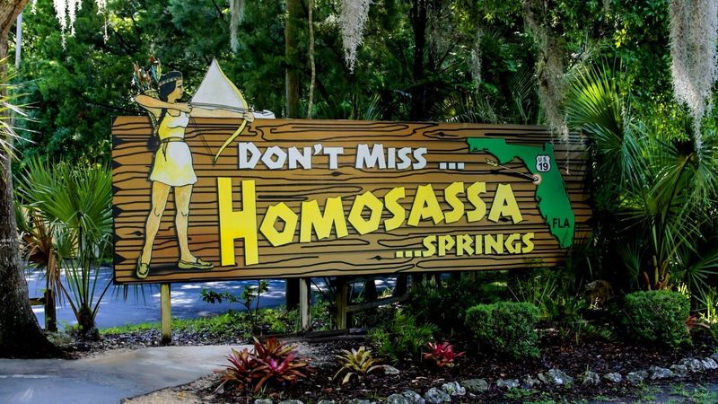 Homosassa Springs Wildlife State Park, Homosassa 

People have been dipping into the spring and enjoying the wildlife since the early 1900s.