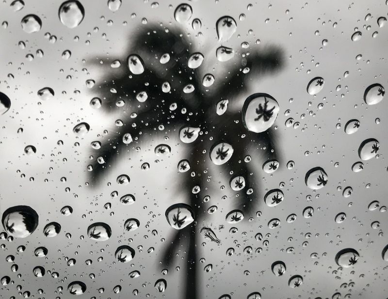 Rains could be heavy during the drive home Monday, June 17, 2019, the National Weather Service said. [BRUCE R. BENNETT/palmbeachpost.com]