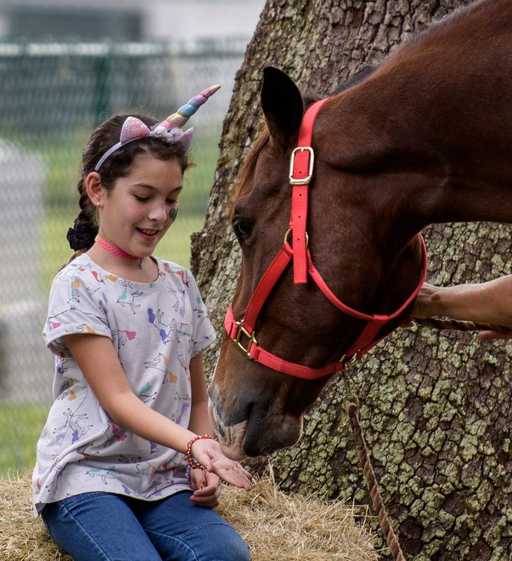 A girl feeds a horse at a past Montverde Day festival.