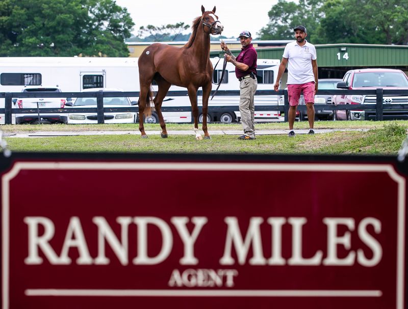 This 2021 photo shows a horse being led to sales ring at OBS.