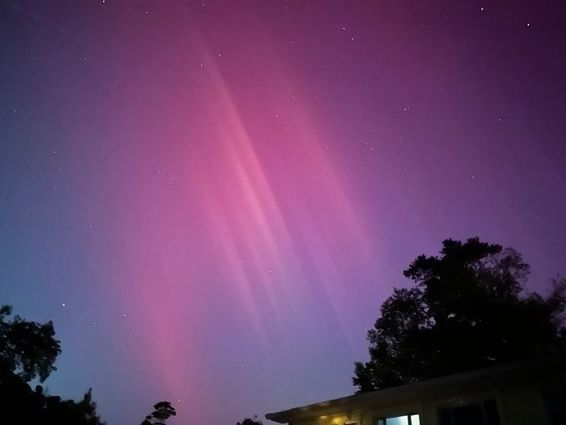 The Aurora borealis dances in the Tallahassee sky late Friday night, May 10, 2024. For best viewing shoot it on night mode with at least a three second exposure.