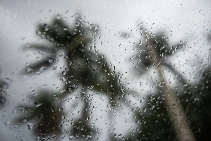 Raindrops fall on a car windshield underneath palm trees at Veterans Park on Thursday, June 1, 2023, in Delray Beach, Fla. A tropical depression, which could strengthen to Tropical Storm Arlene overnight Thursday, is expected to bring heavy rainfall to Palm Beach County through the weekend.