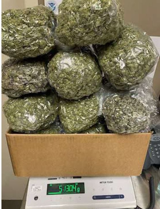 These vacuum-sealed packages of marijuana were found in two suitcases federal agents intercepted at Jacksonville International Airport, according to court documents that said Yaquasia Delcarmen left the airport with the man who brought the luggage.