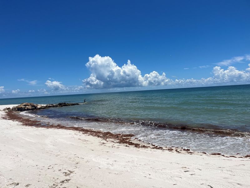 A beach in Naples just south of Laudermilk Beach.