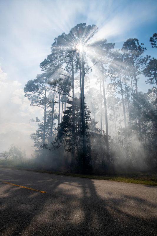 Forest service and firefighters work to extinguish a brush fire near the intersection of Garcon Point and Mary Kitchens Roads in Santa Rosa County on Tuesday, Aug. 20, 2024.