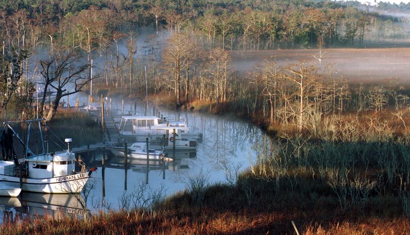 View of Escambia River Wetlands looking west from the Escambia River / HW 90 bridge towards UWF.