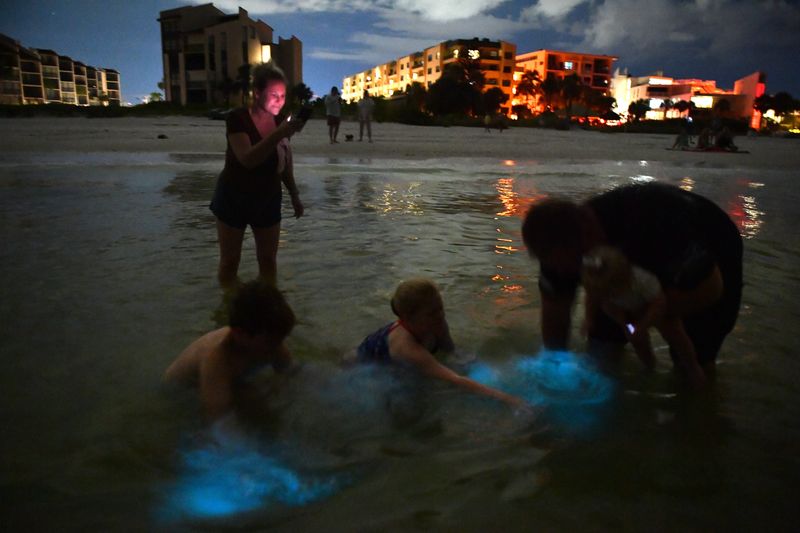 Nicky and Keith Quick from Bradenton, took their kids, Braxton, 10, Quinnleigh, 9 months, and Everleigh, 7, to Crescent Beach on Siesta Key Monday night, Sept. 23, 2024, to check out the bioluminescence in the water.
