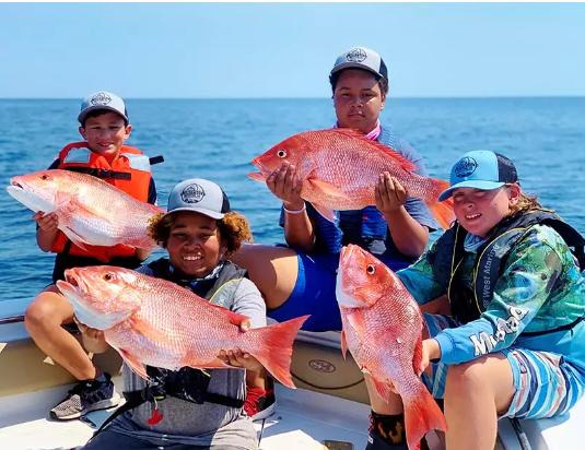 The Florida Fish and Wildlife Conservation Commission (FWC) will begin accepting applications for Quarter 2 of the Atlantic Red Snapper Exempted Fishing Permits (EFP) Project on Oct. 31.