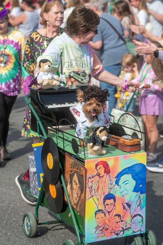People and pets make thieir way along the parade route Saturday, Feb. 8, 2025 during the Kids and Kritters Mardi Gras Parade in the Casino Beach parking lot at Pensacola Beach.
