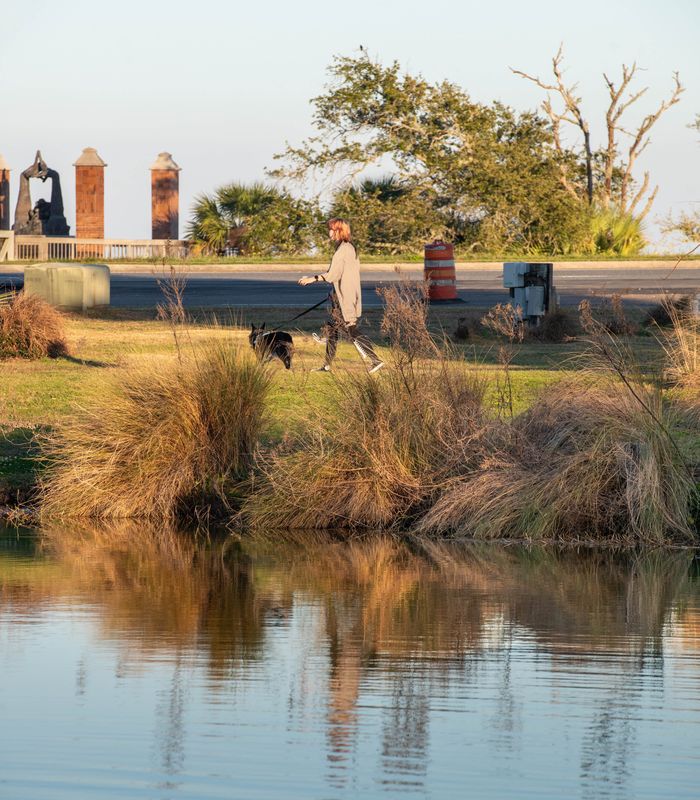 A person walk's their dog at Veterans Memorial Park in downtown Pensacola on Tuesday, Feb. 25, 2025.