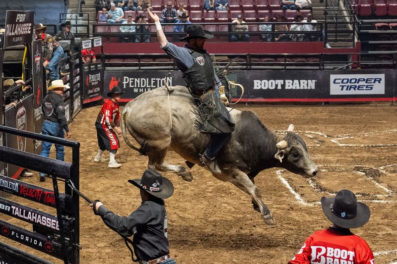Riders compete in the Professional Bull Riders (PBR) Tallahassee competition held in the Donald L. Tucker Civic Center on Friday, March 14, 2025.