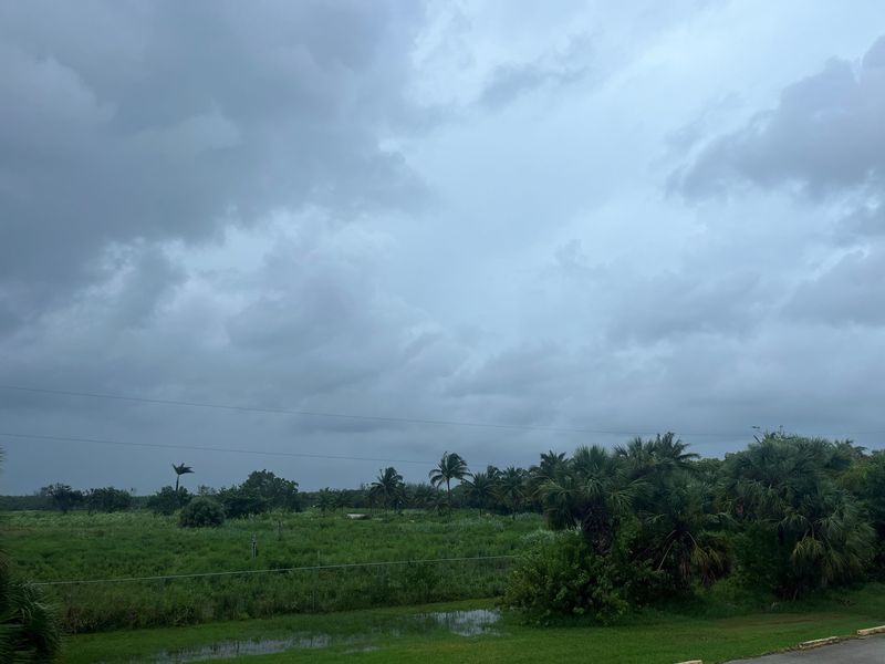 Collier County has a deal to buy 52 acres in Everglades City next to its airport for $6.9 million. The county is set to close on the land, previously listed for $9.5 million and marketed as "the next regional waterfront development in South Florida," June 20, 2026.