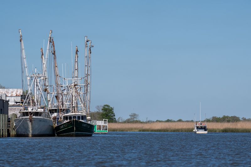 The Apalachicola River has some of the most diverse freshwater fish species in the state of Florida. Proposed oil drilling in Calhoun County could cause long lasting, damaging impacts on the ecosystem within the river.