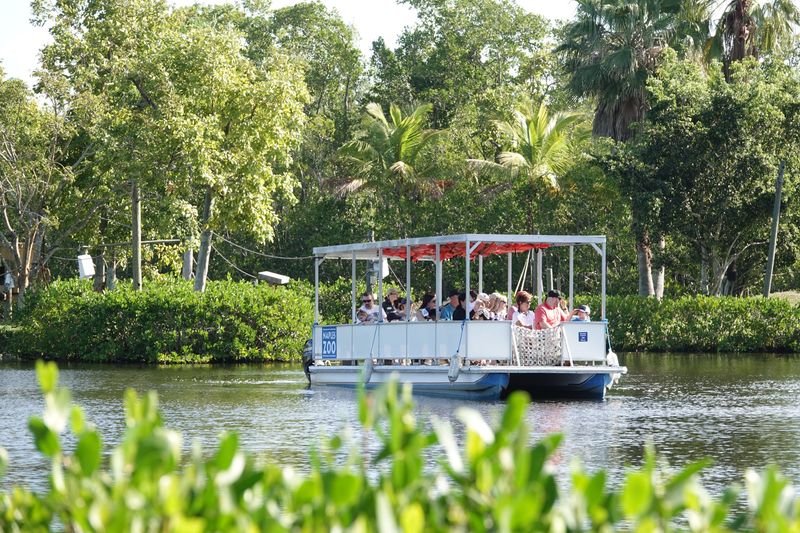 USA Today recently rated the Naples Zoo's Primate Expedition Cruise eighth among the 10 best zoo exhibits across the country for 2025.