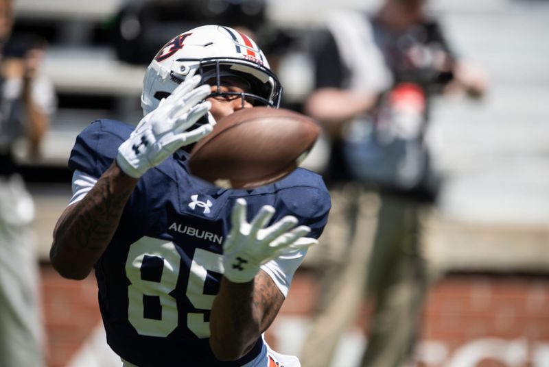 Auburn Tigers wide receiver Cam'Ron King (85) catches a pass during Auburn Tigers A-Day football practice at Jordan-Hare Stadium in Auburn, Ala., on Saturday, April 12, 2025.