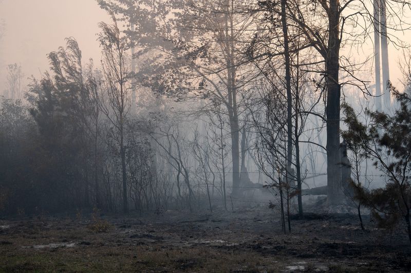 Smoke lingers in the underbrush during the Clayton Road Fire on April 17, 2025 near Econfina, Florida.