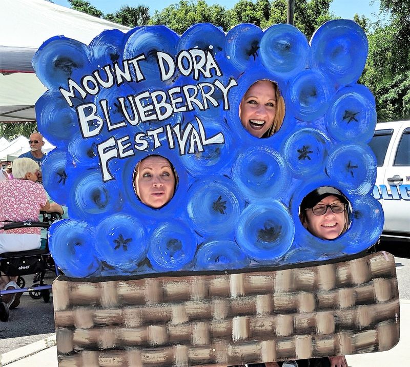 Celebrate the fruits and labor of a dozen-plus Lake County blueberry farms during peak season at the 11th annual Mount Dora Blueberry Festival this weekend.