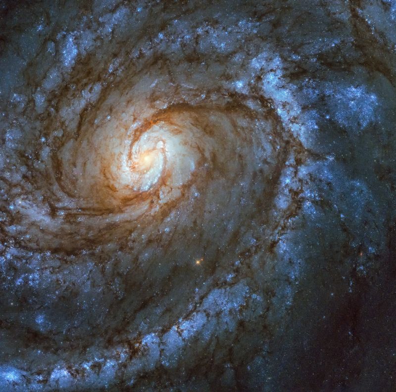This stunning spiral galaxy is Messier 100 in the constellation Coma Berenices, captured here by the NASA/ESA Hubble Space Telescope.