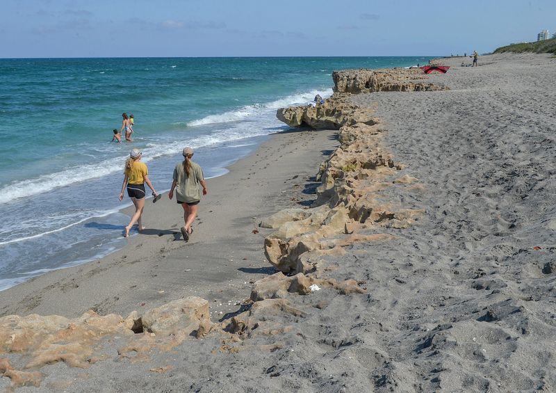Beachgoers walk along the shoreline during low tide, which exposes a mile-long rock formation, the main attraction of Blowing Rocks Preserve during the late afternoon on May 7, 2025. The preserve, on Jupiter Island in Hobe Sound, is owned by The Nature Conservancy and contains the largest limestone outcropping on the state's east coast, part of the Anastasia Formation. It is open to the public from 9 a.m. to 4:30 p.m. with a suggested donation of $2.
