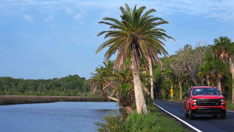 A truck rolls east on Highbridge Road, passing a palm tree lined marsh on Thursday May 8, 2025. The ride is part of The Ormond Scenic Loop and Trail.