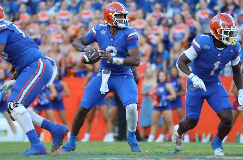 Nov 16, 2024; Gainesville, Florida, USA; Florida Gators quarterback DJ Lagway (2) drops back against the LSU Tigers during the first half at Ben Hill Griffin Stadium. Mandatory Credit: Kim Klement Neitzel-Imagn Images