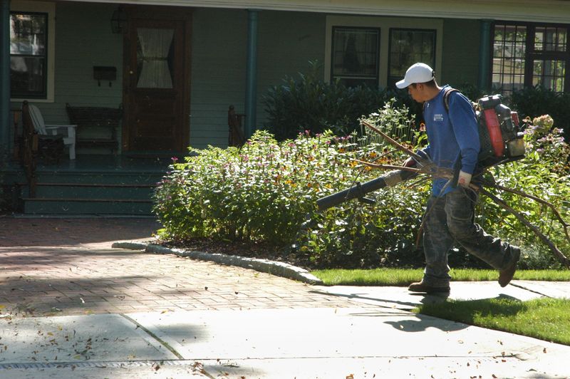 A Herald-Tribune reader has had enough of pool and lawn service workers blowing leaves and debris into canals and onto roads in Sarasota County.