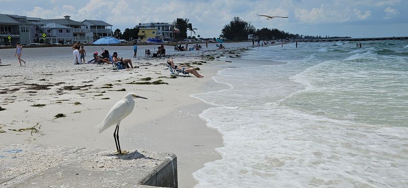 Anna Maria Island
